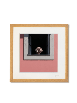 tirage photo petit format encadré à la main représentant un chien à la fenêtre d'une maison rose