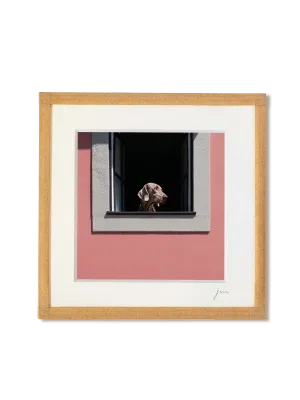 tirage photo petit format encadré à la main représentant un chien à la fenêtre d'une maison rose